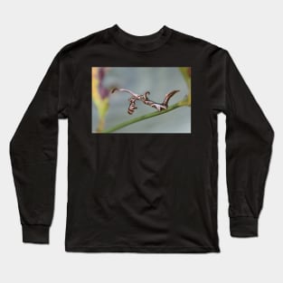 Curved  lined Owlet caterpillar Long Sleeve T-Shirt